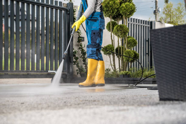 Best Roof Washing  in Franklin Furnace, OH